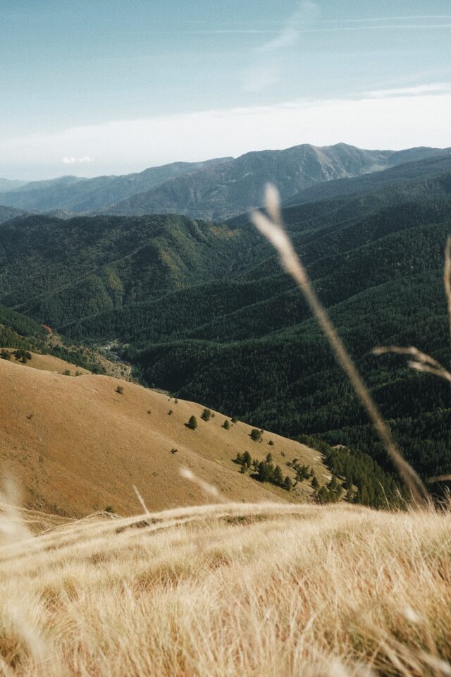 Processed with VSCO with j6 preset